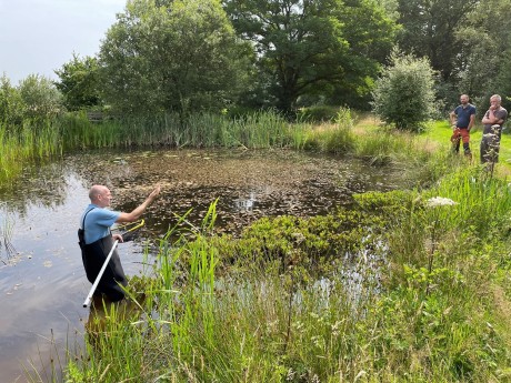 Aanleg en onderhoud poelen Apeldoorn