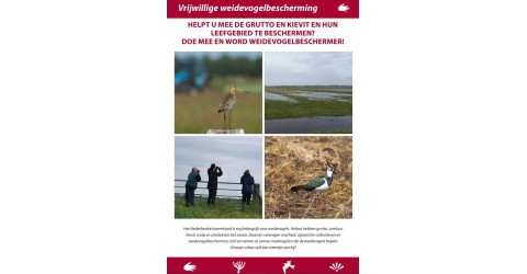 flyer 'Vrijwillige weidevogelbescherming'